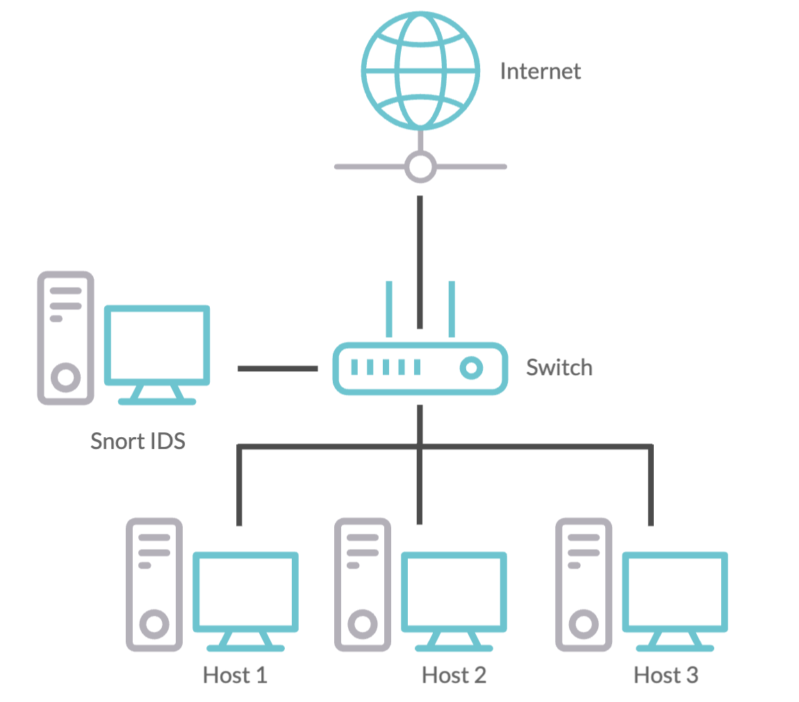 Typical Snort deployment.